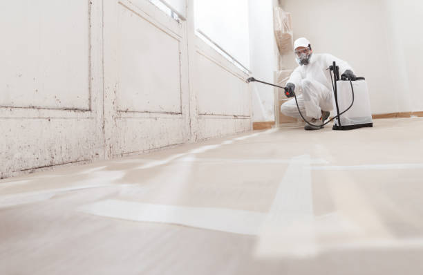24/7 Emergency Black Mold Remediation experts in Lakeland, GA